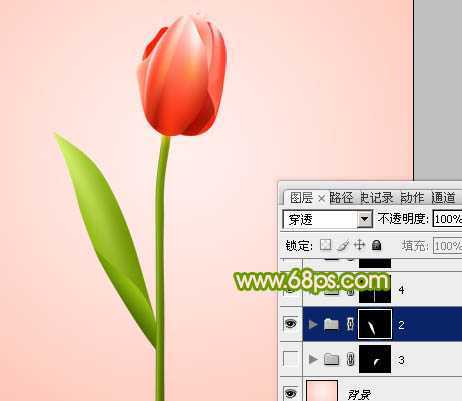 ‘Photoshop打造一朵含苞欲放的红色郁金香教程‘