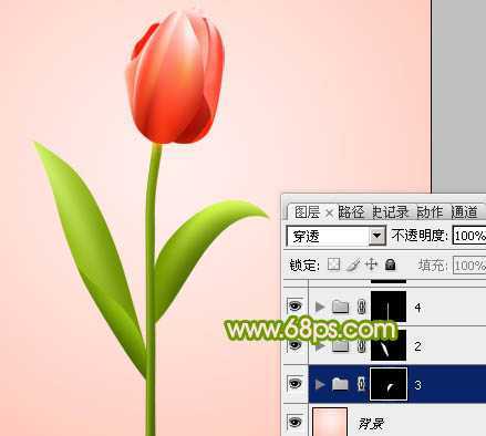 ‘Photoshop打造一朵含苞欲放的红色郁金香教程‘