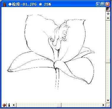用Painter与数码板绘制逼真百合花_脚本之家jb51.net整理