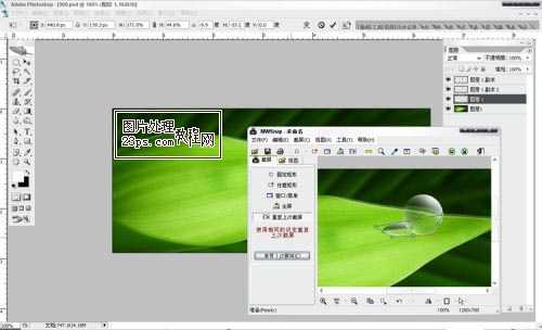 ‘Photoshop将制作出漂亮绿叶上的水珠‘