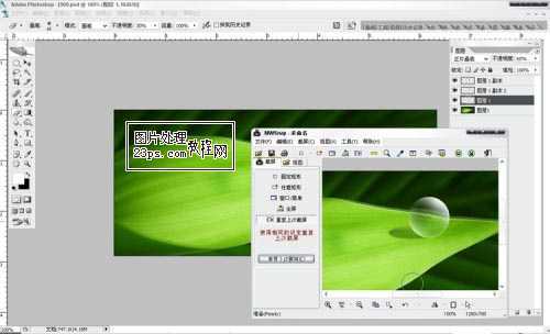 ‘Photoshop将制作出漂亮绿叶上的水珠‘