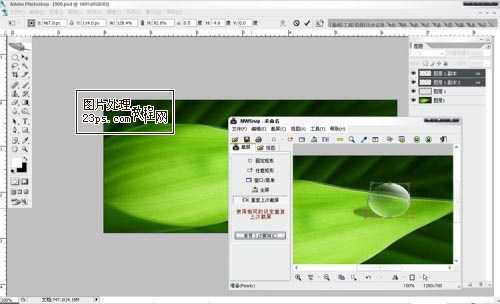 ‘Photoshop将制作出漂亮绿叶上的水珠‘