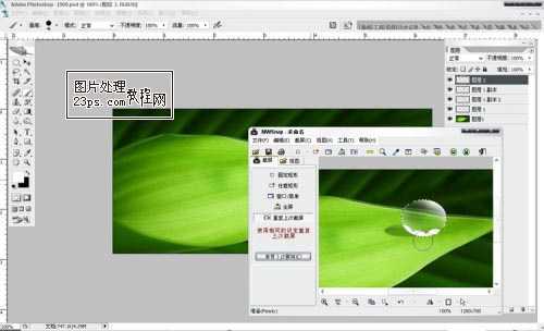 ‘Photoshop将制作出漂亮绿叶上的水珠‘