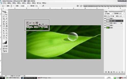 ‘Photoshop将制作出漂亮绿叶上的水珠‘