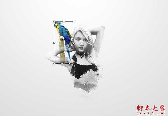‘Photoshop制作简洁抽象的人物插画‘