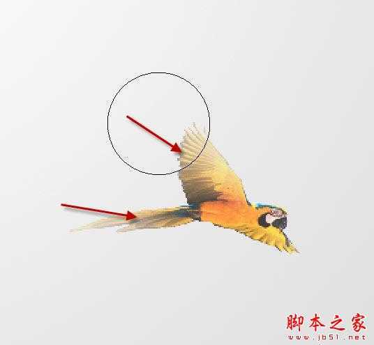 ‘Photoshop制作简洁抽象的人物插画‘