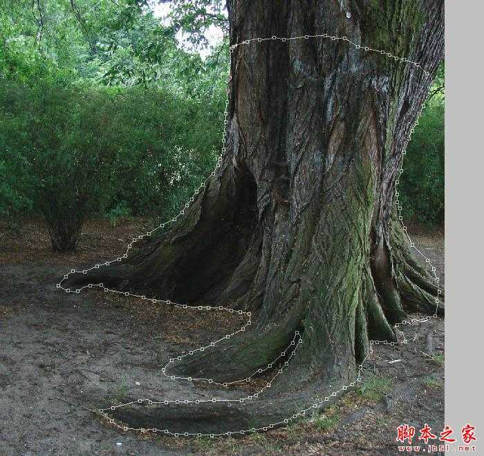 ‘Photoshop制作简洁抽象的人物插画‘