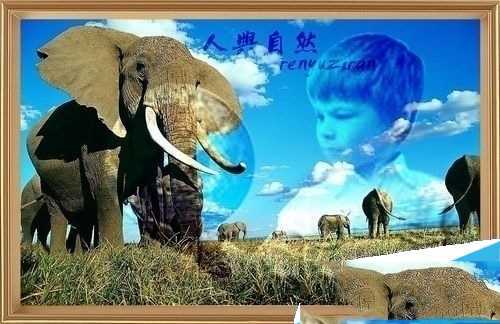 ‘如何用photoshop把两张照片融合起来‘