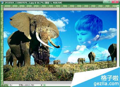 ‘如何用photoshop把两张照片融合起来‘