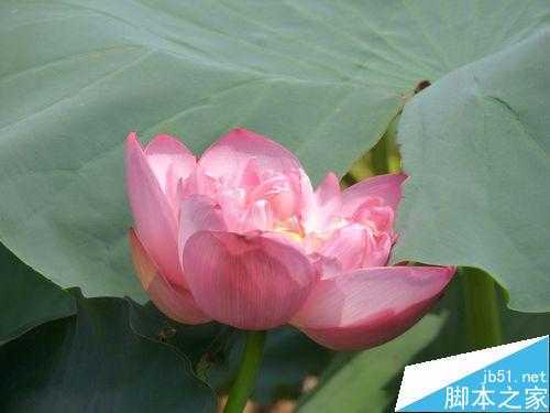 摄影专业技法