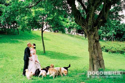 海外婚礼拍摄的重点提醒