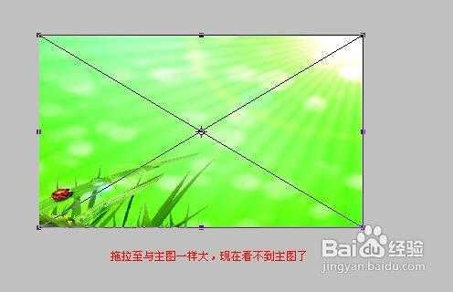 ‘如何利用PS给人物更换背景‘
