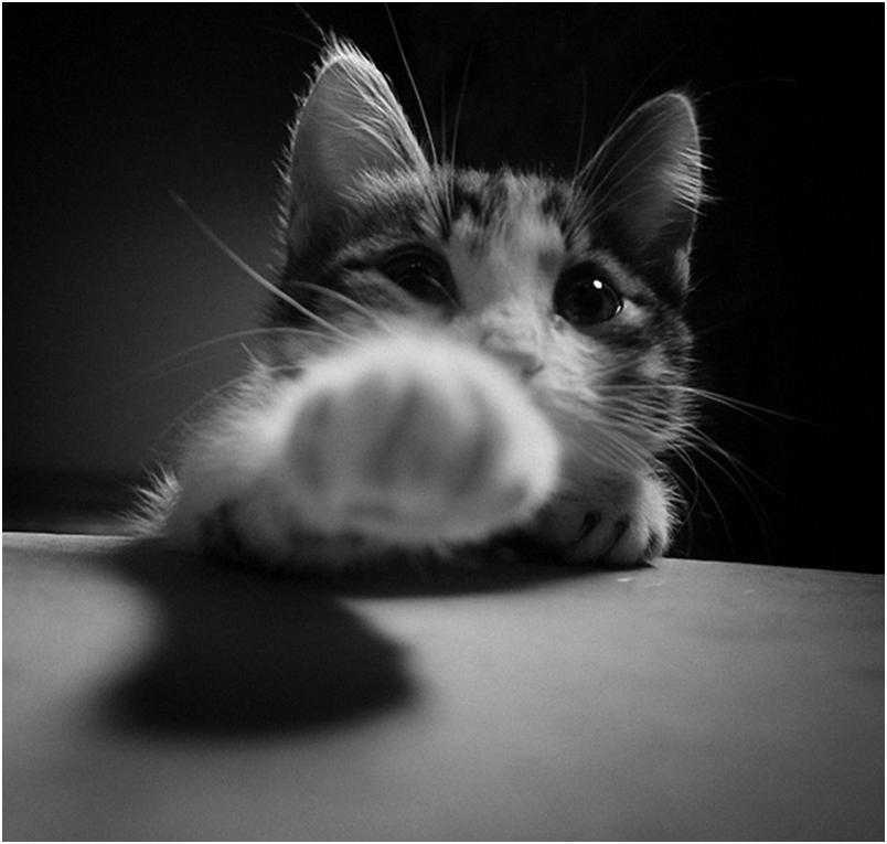 ‘PhotoShop制作黑白照片的10种方法详细解说‘