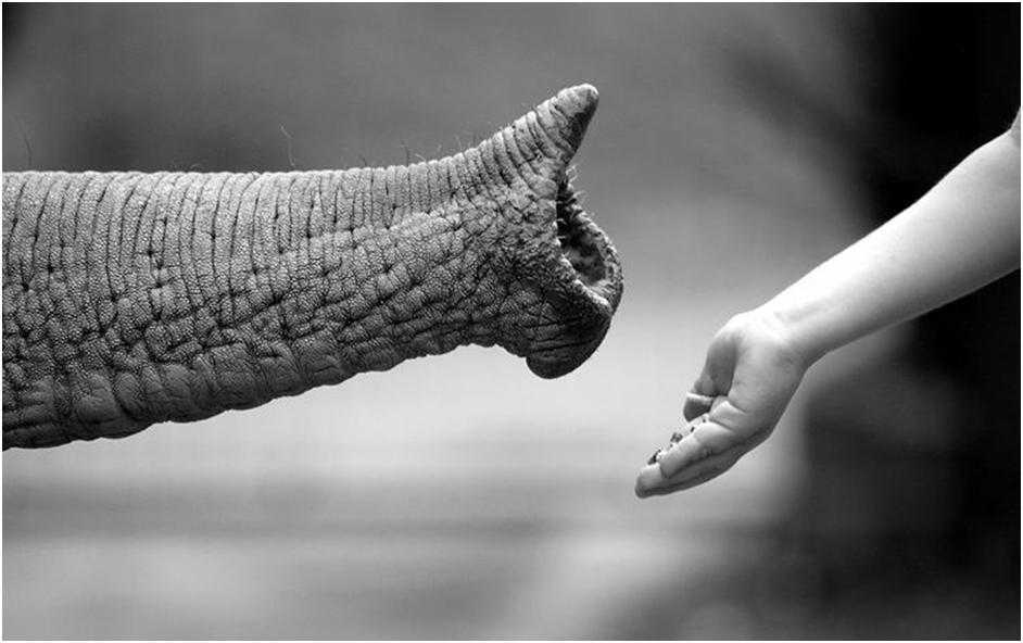 ‘PhotoShop制作黑白照片的10种方法详细解说‘