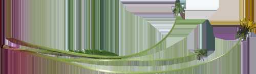‘Photoshop