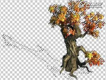 ‘PS将神雕侠侣百花谷地图3D转2D教程‘