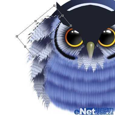 ‘photoshop设计制作可爱的蓝色卡通猫头鹰‘