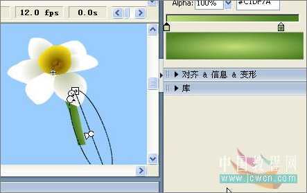 Flash绘画技巧实例:鼠绘好看的水仙花
