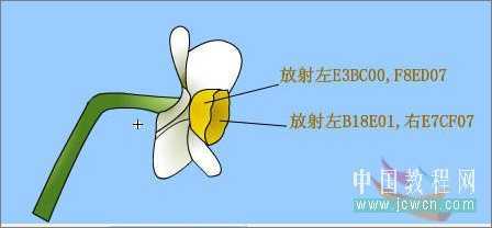 Flash绘画技巧实例:鼠绘好看的水仙花