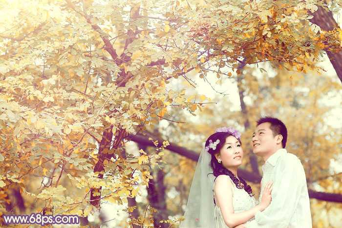 ‘Photoshop为树林婚片调制出浓郁的秋季色‘