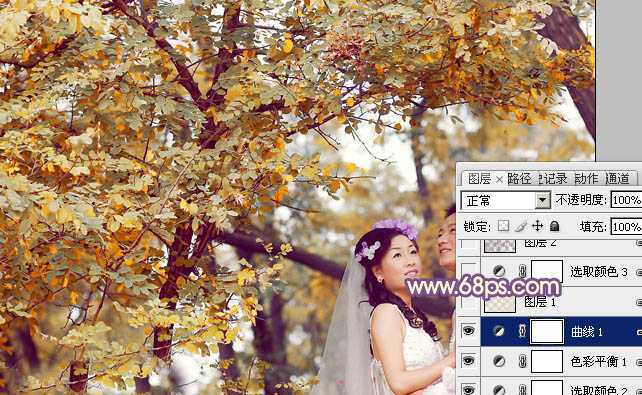 ‘Photoshop为树林婚片调制出浓郁的秋季色‘