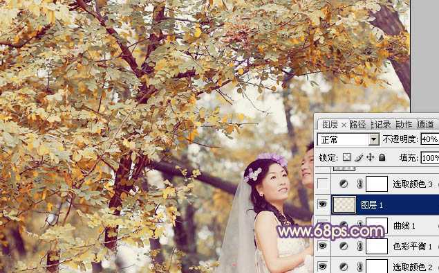 ‘Photoshop为树林婚片调制出浓郁的秋季色‘
