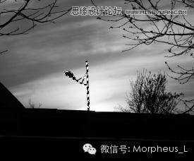 ‘Photoshop调出黑白风格动感背景效果图