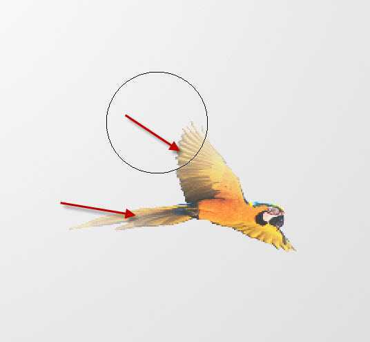 ‘PS制作创意风格的抽象人物插画照片实例教程‘