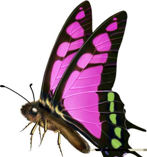 ‘Photoshop将制作出漂亮的带青色花纹的立体字效果‘