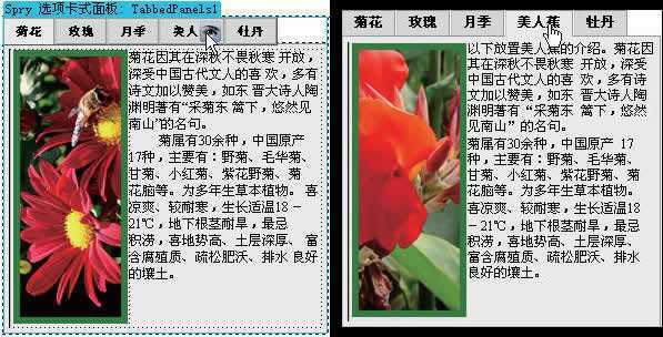 Photoshop制作网站首页(6):控制版面与插入Spry对象_脚本之家jb51.net转载