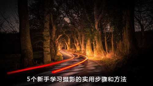 学习摄影的实用步骤和方法5步