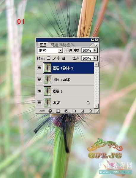 技术分享