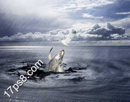 ‘photoshop将合成鲸鱼越出水面掠夺海鸥食物场景效果‘