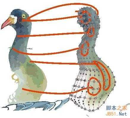CDR临摹国画教程 脚本之家 CDR实例教程