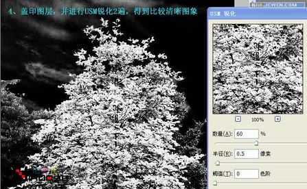 脚本之家jb51.net整理