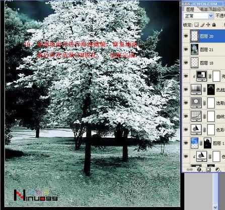 脚本之家jb51.net整理