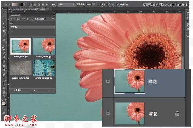 ‘Photoshop将花朵照片调出颓废复古效果‘