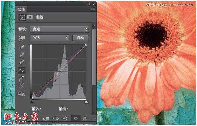 ‘Photoshop将花朵照片调出颓废复古效果‘