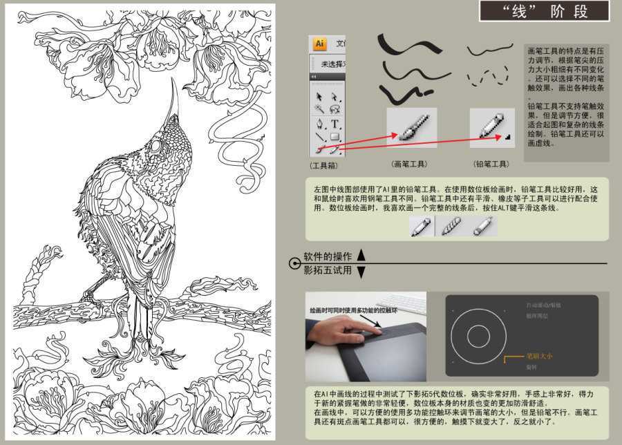 AI结合数位板绘制漂亮翠鸟插画过程 脚本之家 AI实例教程