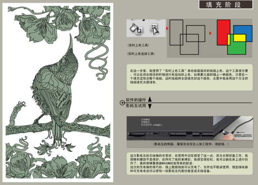 AI结合数位板绘制漂亮翠鸟插画过程 脚本之家 AI实例教程