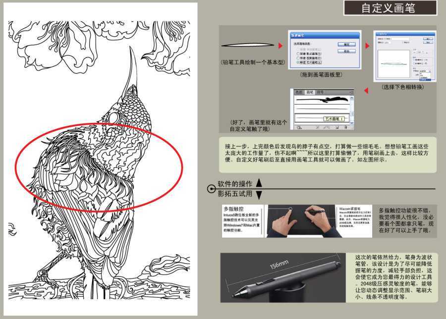 AI结合数位板绘制漂亮翠鸟插画过程 脚本之家 AI实例教程