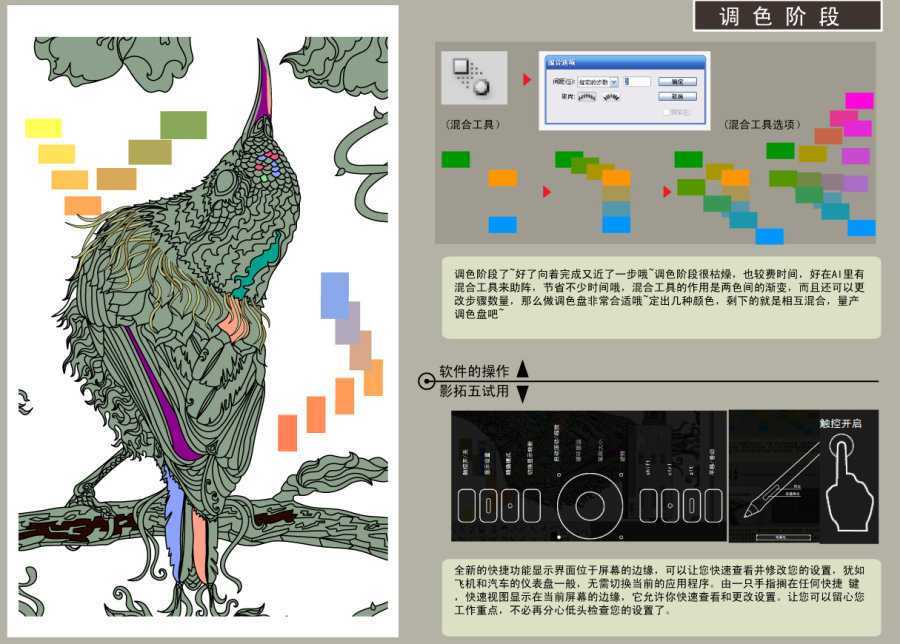 AI结合数位板绘制漂亮翠鸟插画过程 脚本之家 AI实例教程