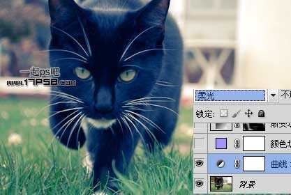 ‘photoshop将可爱的猫咪图片打造出复古老照片效果‘