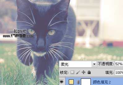 ‘photoshop将可爱的猫咪图片打造出复古老照片效果‘