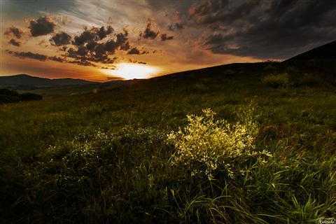 手动对焦你会么？ 脚本之家