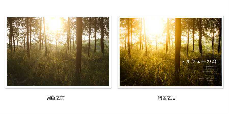 ‘photoshop详细解析后期调色葵花宝典终极版‘