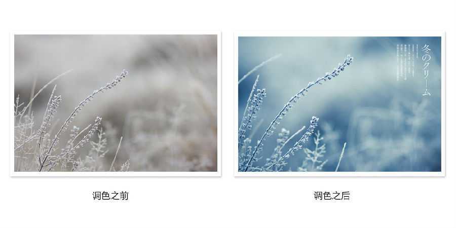 ‘photoshop详细解析后期调色葵花宝典终极版‘