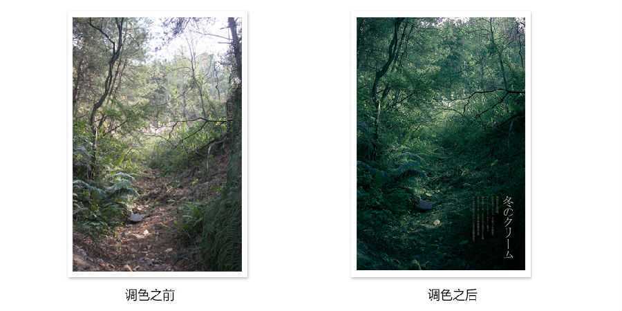 ‘photoshop详细解析后期调色葵花宝典终极版‘