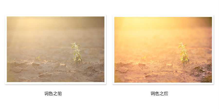 ‘photoshop详细解析后期调色葵花宝典终极版‘