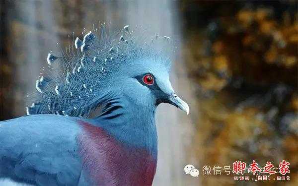 ‘PS合成蓝色动感的人物跳跃特效照片的教程‘